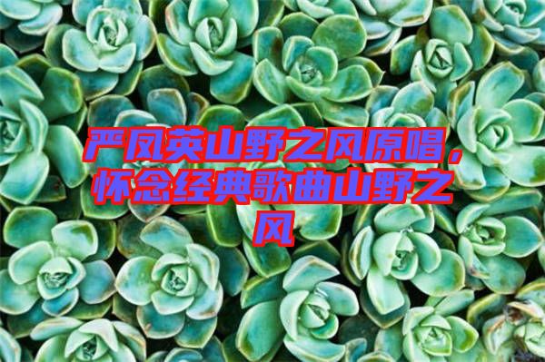 嚴(yán)鳳英山野之風(fēng)原唱，懷念經(jīng)典歌曲山野之風(fēng)