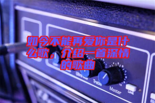 如今不能再愛你是什么歌，介紹一首深情的歌曲