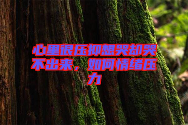 心里很壓抑想哭卻哭不出來，如何情緒壓力