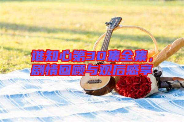 誰知心第30集全集，劇情回顧與觀后感享
