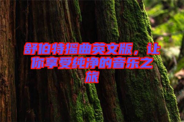 舒伯特搖曲英文版，讓你享受純凈的音樂之旅