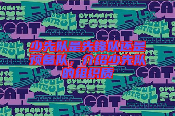 少先隊是先鋒隊還是預(yù)備隊，介紹少先隊的組織質(zhì)