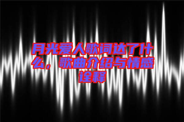 月光愛人歌詞達(dá)了什么，歌曲介紹與情感詮釋