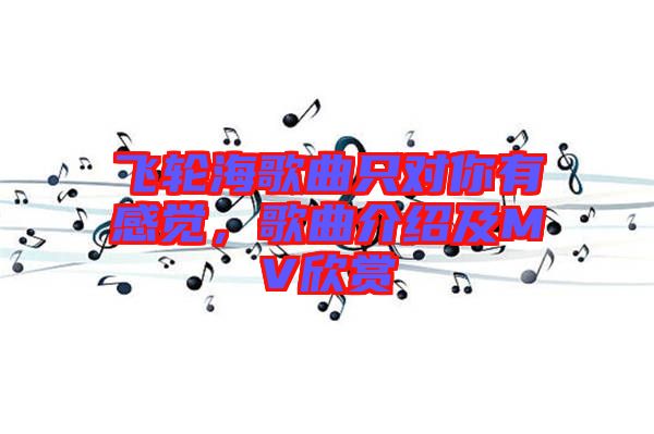 飛輪海歌曲只對(duì)你有感覺(jué)，歌曲介紹及MV欣賞