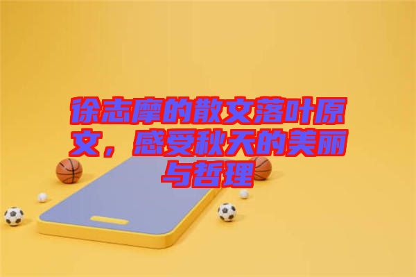 徐志摩的散文落葉原文，感受秋天的美麗與哲理