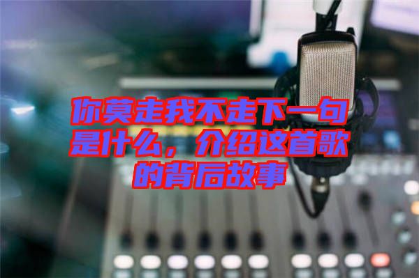 你莫走我不走下一句是什么，介紹這首歌的背后故事