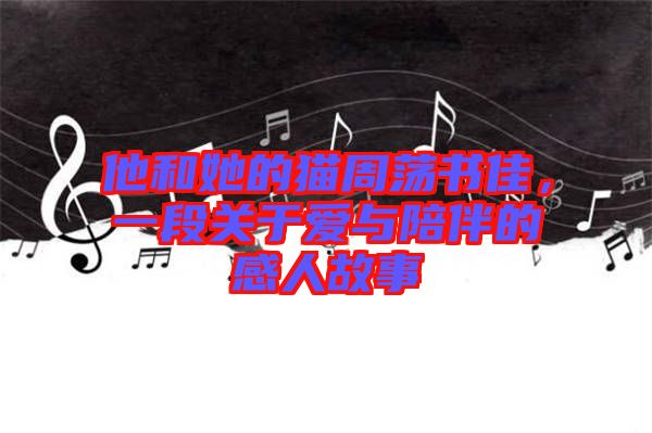 他和她的貓周蕩書佳，一段關(guān)于愛與陪伴的感人故事
