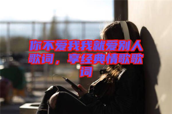 你不愛我我就愛別人歌詞，享經(jīng)典情歌歌詞
