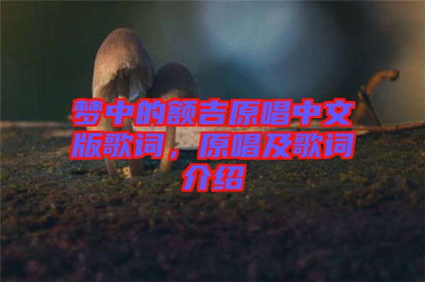 夢(mèng)中的額吉原唱中文版歌詞，原唱及歌詞介紹