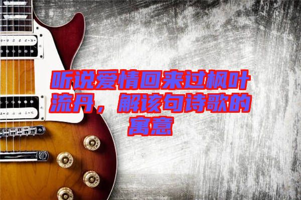 聽說愛情回來過楓葉流丹，解該句詩歌的寓意