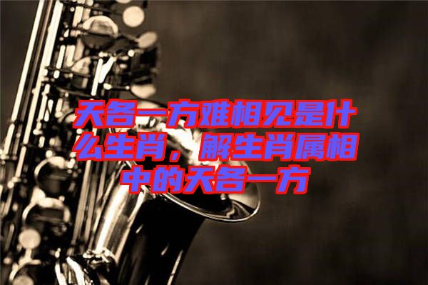 天各一方難相見是什么生肖，解生肖屬相中的天各一方