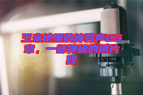 玉米地里的坤吟聲25章，一部神秘的精片段