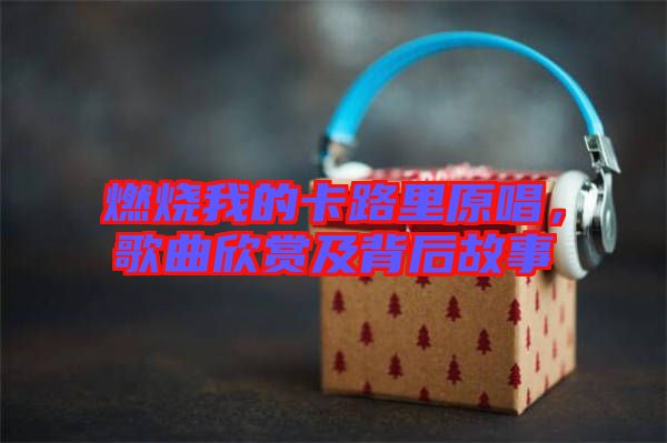 燃燒我的卡路里原唱，歌曲欣賞及背后故事