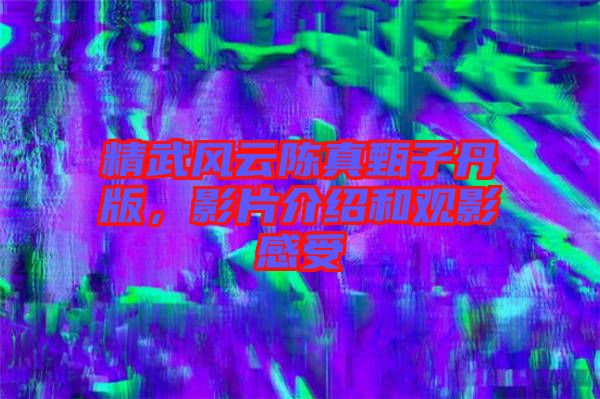 精武風(fēng)云陳真甄子丹版，影片介紹和觀影感受