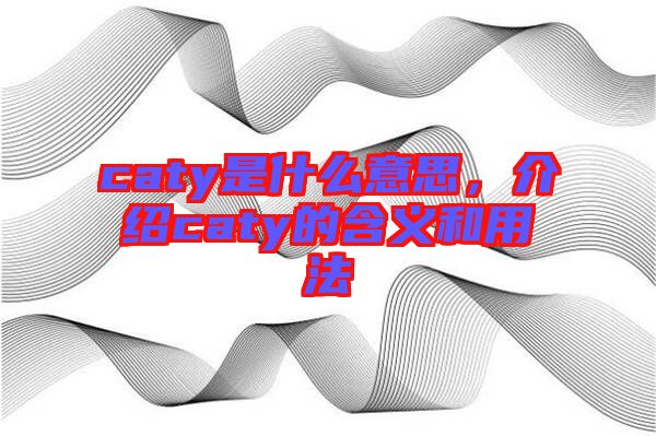 caty是什么意思，介紹caty的含義和用法