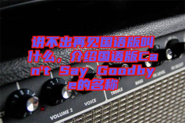 講不出再見國語版叫什么，介紹國語版Can't Say Goodbye的名稱