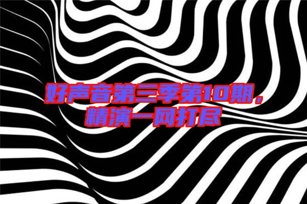 好聲音第三季第10期，精演一網(wǎng)打盡