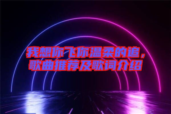 我想你飛你溫柔的追，歌曲推薦及歌詞介紹