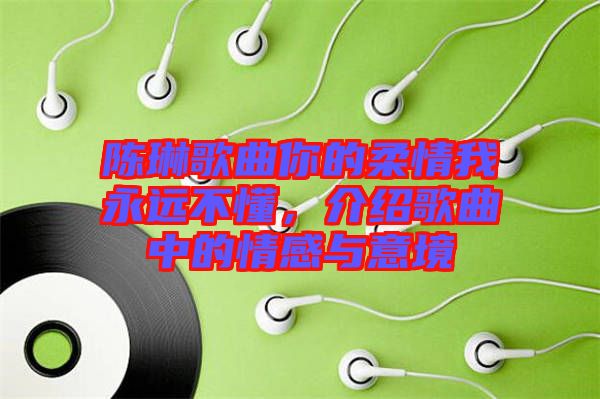 陳琳歌曲你的柔情我永遠不懂，介紹歌曲中的情感與意境