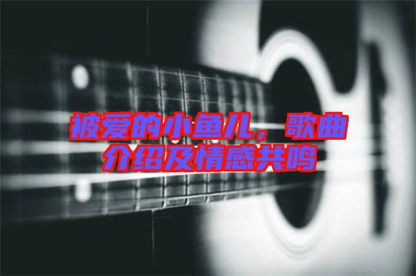 被愛的小魚兒，歌曲介紹及情感共鳴
