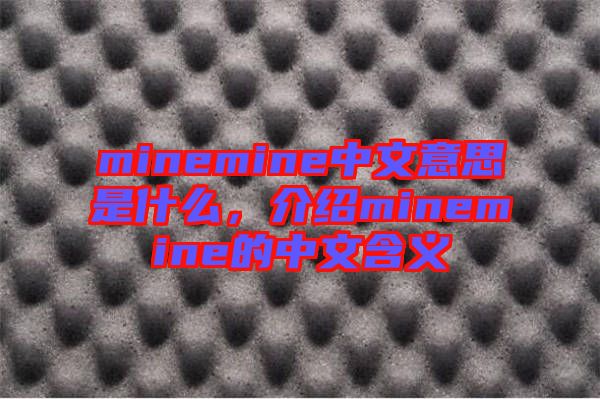 minemine中文意思是什么，介紹minemine的中文含義