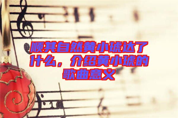 順其自然黃小琥達(dá)了什么，介紹黃小琥的歌曲意義