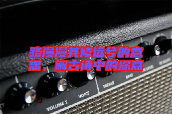 路漫漫其修遠兮的意思，解古詩中的深意