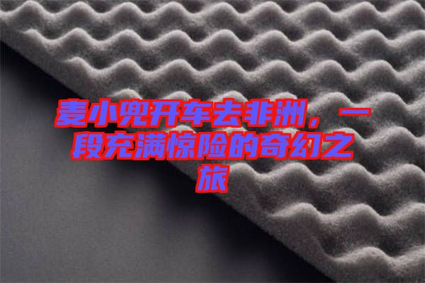 麥小兜開車去非洲，一段充滿驚險的奇幻之旅