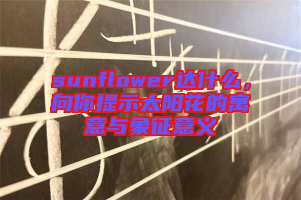 sunflower達(dá)什么，向你提示太陽(yáng)花的寓意與象征意義