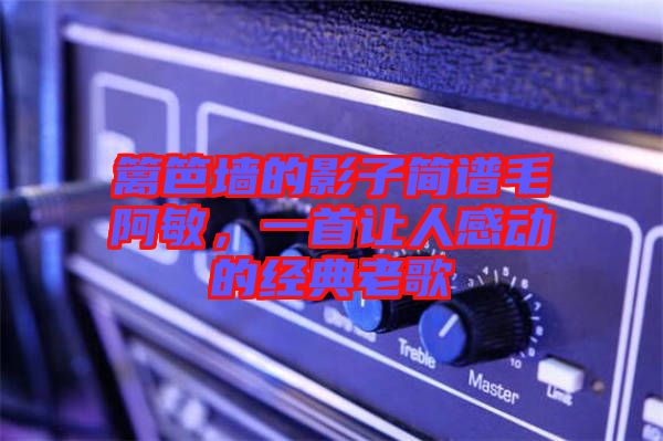 籬笆墻的影子簡譜毛阿敏，一首讓人感動的經(jīng)典老歌