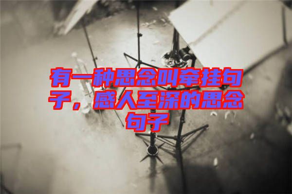 有一種思念叫牽掛句子，感人至深的思念句子