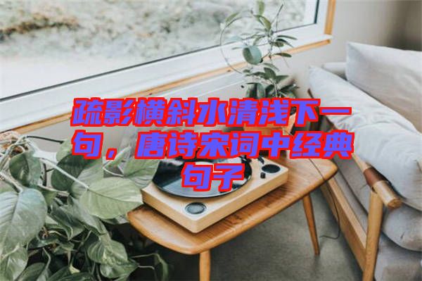 疏影橫斜水清淺下一句，唐詩宋詞中經(jīng)典句子