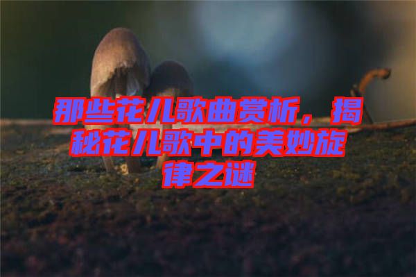 那些花兒歌曲賞析，揭秘花兒歌中的美妙旋律之謎