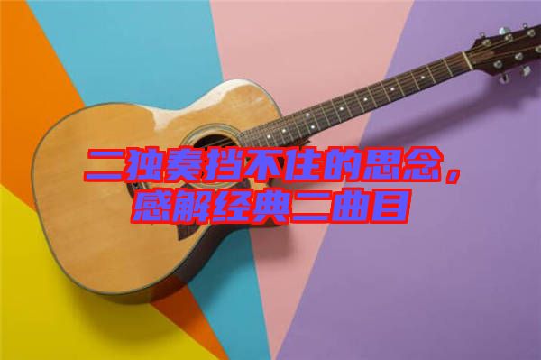 二獨奏擋不住的思念，感解經典二曲目
