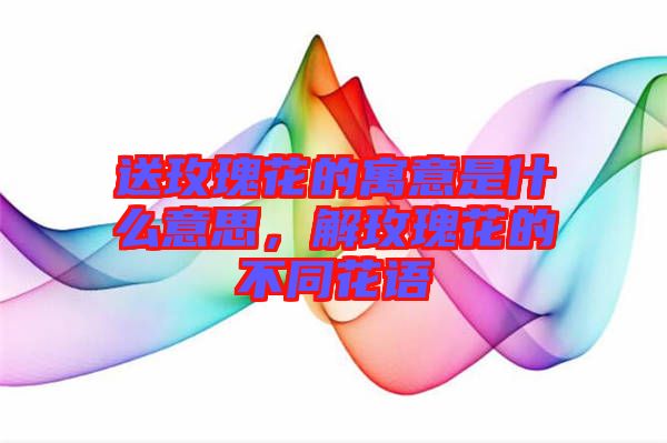 送玫瑰花的寓意是什么意思，解玫瑰花的不同花語
