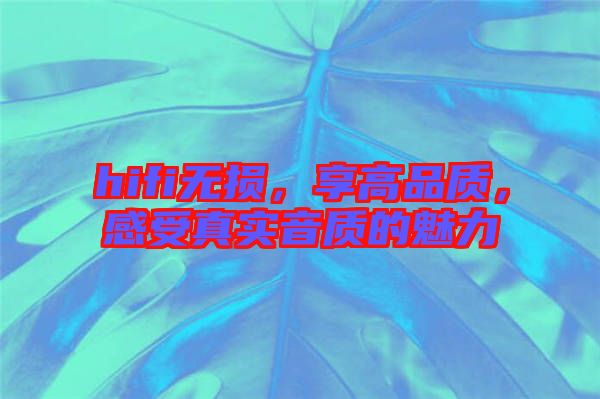 hifi無(wú)損，享高品質(zhì)，感受真實(shí)音質(zhì)的魅力