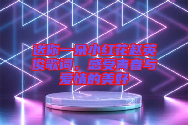 送你一朵小紅花趙英俊歌詞，感受青春與愛(ài)情的美好