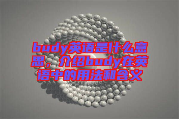 budy英語是什么意思，介紹budy在英語中的用法和含義