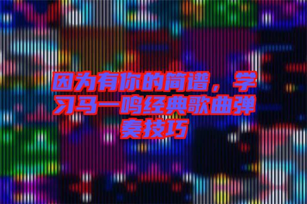 因?yàn)橛心愕暮?jiǎn)譜，學(xué)習(xí)馬一鳴經(jīng)典歌曲彈奏技巧