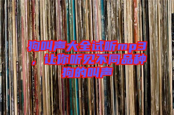 狗叫聲大全試聽mp3，讓你聽見不同品種狗的叫聲