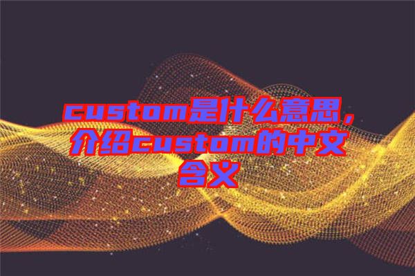 custom是什么意思，介紹custom的中文含義