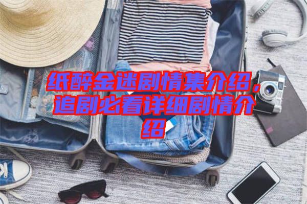 紙醉金迷劇情集介紹，追劇必看詳細(xì)劇情介紹