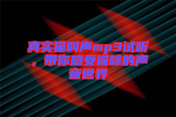 真實貓叫聲mp3試聽，帶你感受貓咪的聲音世界