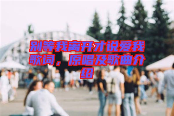 別等我離開才說愛我歌詞，原唱及歌曲介紹