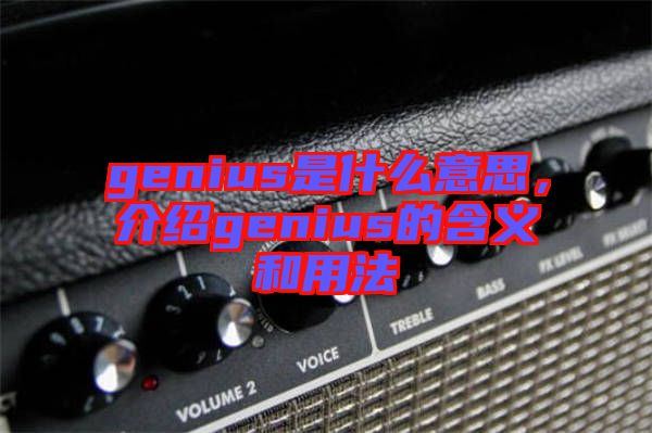 genius是什么意思，介紹genius的含義和用法