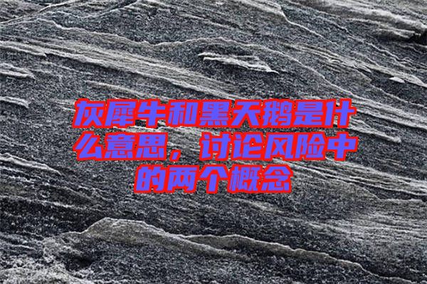 灰犀牛和黑天鵝是什么意思，討論風(fēng)險(xiǎn)中的兩個(gè)概念