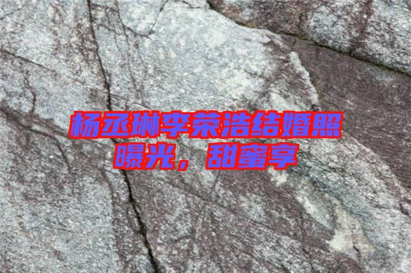 楊丞琳李榮浩結婚照曝光，甜蜜享