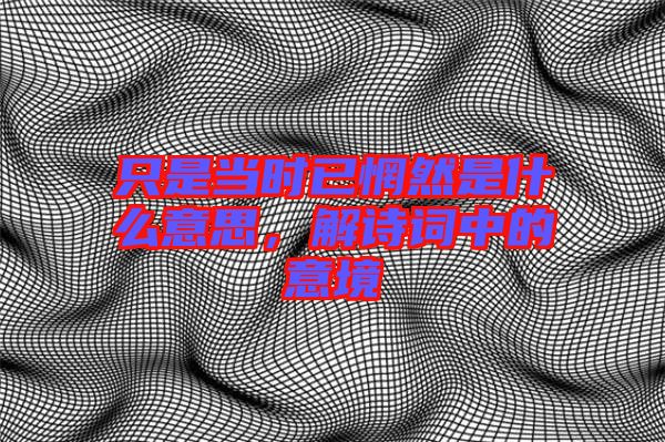 只是當(dāng)時(shí)已惘然是什么意思，解詩詞中的意境