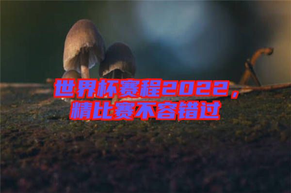 世界杯賽程2022，精比賽不容錯過