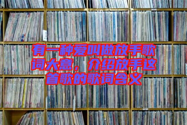 有一種愛叫做放手歌詞大意，介紹放手這首歌的歌詞含義